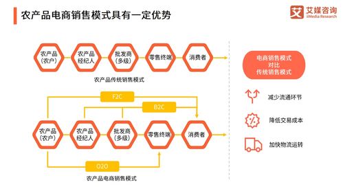 2021年中國農產品電商發展報告 產業升級與投資機遇分析